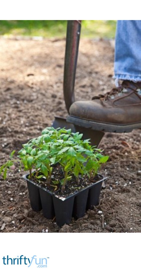 Tips for Potting Plants ThriftyFun