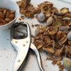 Shelling Nuts