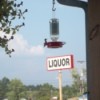 Hummbingbird at a feeder, with liquor sign in background.