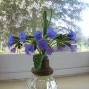 Vase made from old an old door nob.