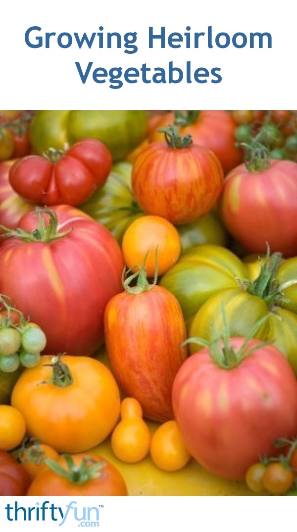 Growing Heirloom Vegetables ThriftyFun