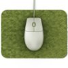 Mouse on Green Mouse Pad