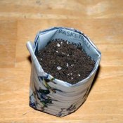 Newspaper Seed Starting Pot