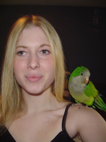 Photo of a girl with a quaker parrot on her shoulder.