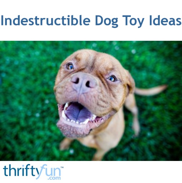 Indestructible Dog Toy Ideas ThriftyFun indestructible-dog-toy-ideas-thriftyfun