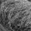Close up of Steel Wool