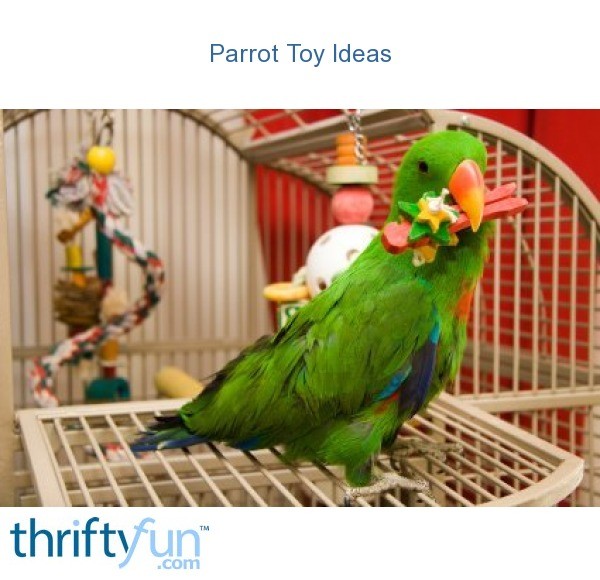 Parrot Toy Ideas | ThriftyFun