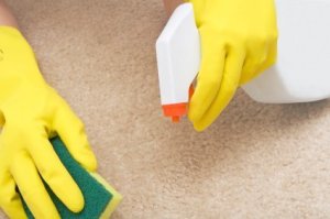 Removing Vomit Stains from Carpet | ThriftyFun