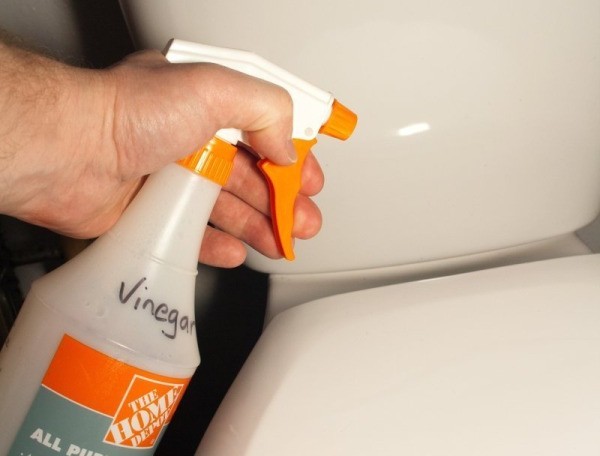 Spraying Vinegar on Toilet