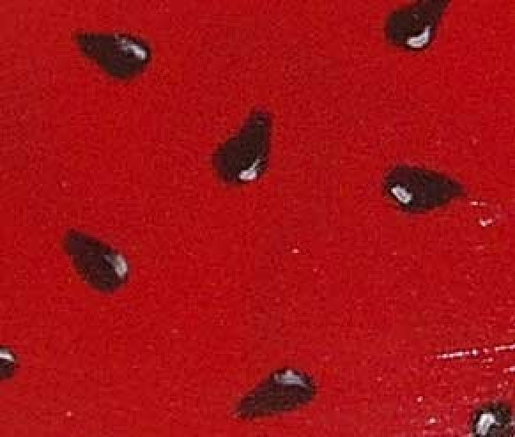 Closeup of seed detail.