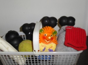 Berry basket for pet toys.