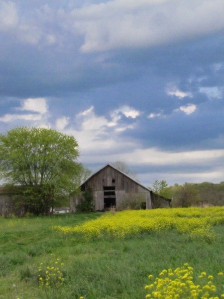 Old Barn (Mason County, WV)