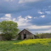 Old Barn (Mason County, WV)