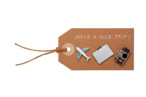 Homemade Luggage Tag With Pins