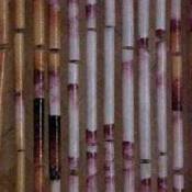 Bamboo door curtain.