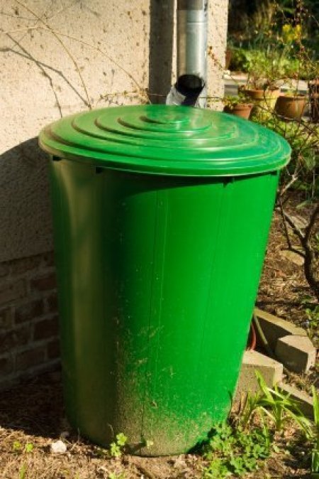 Green Rain Barrel