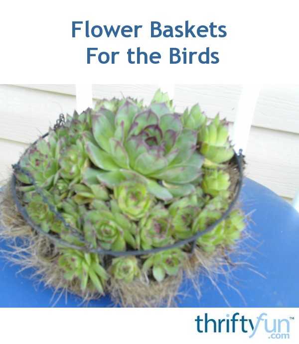 Flower Baskets For the Birds ThriftyFun
