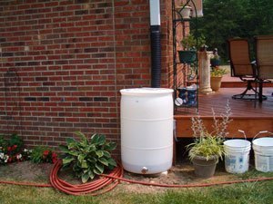 White Rain Barrel