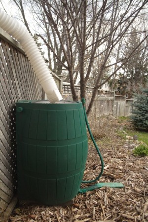 Homemade Rain Barrel