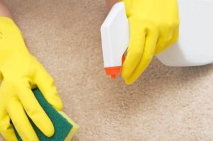 Spraying Carpet Stain