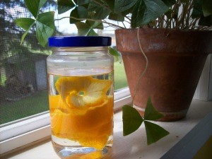 Add citrus peels to vinegar