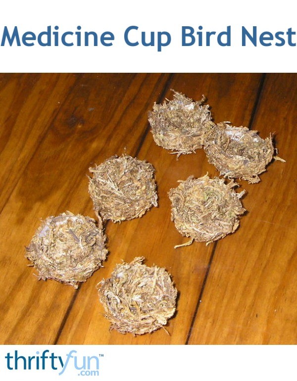 Medicine Cup Bird Nest ThriftyFun