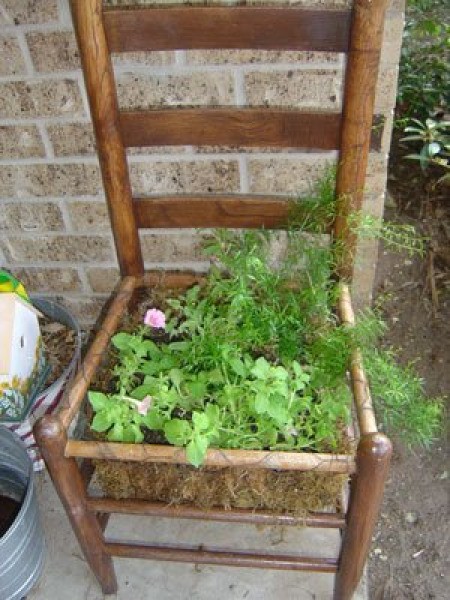 Chair planter