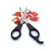 Scissors With Cut up Credit Cards