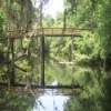 Wooden Bridge at Hillsborough River State Park (near Tampa, FL)