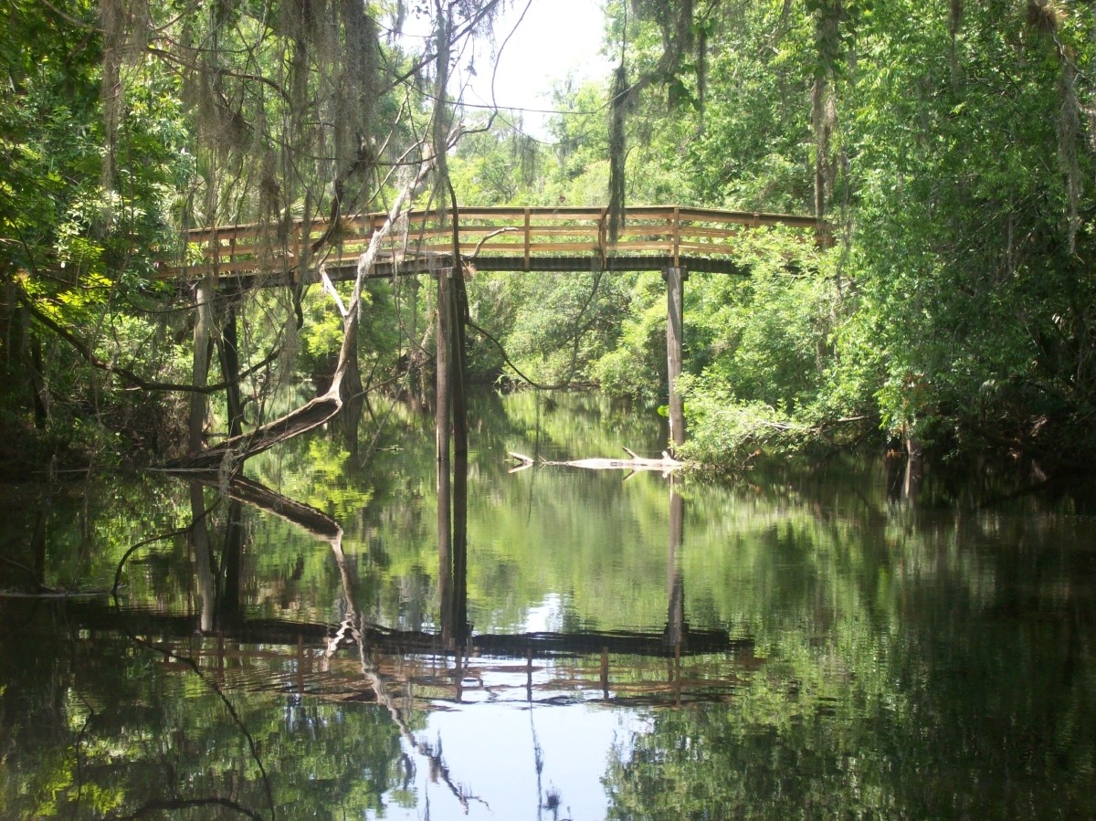 Wooden Bridge at Hillsborough River State Park (near Tampa, FL ...