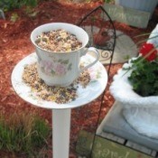 Tea cup bird feeder
