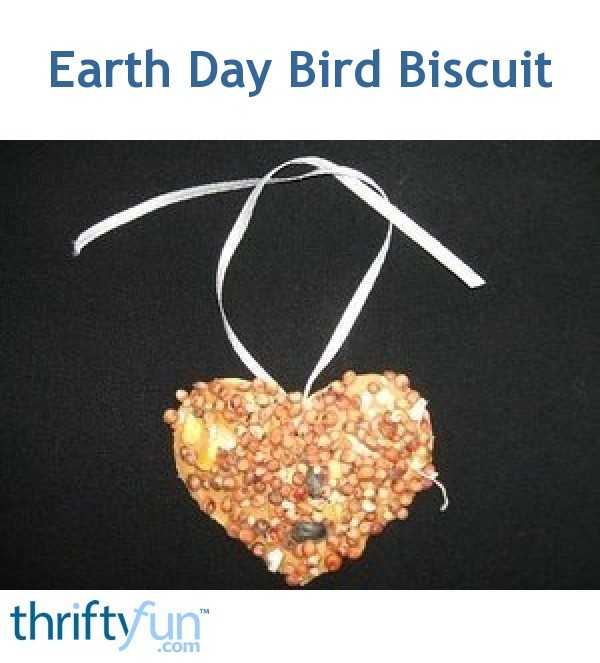 bird bird biscuit saturday hours