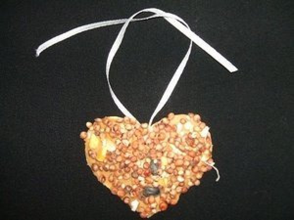 A bird biscuit made from birdseed in the shape of a heart.