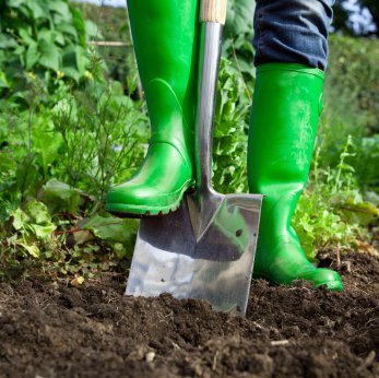 Digging in the Garden