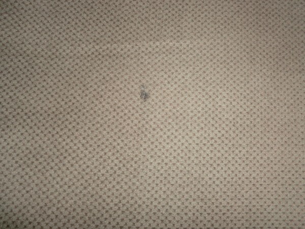 Pine sap on microfiber couch