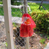 Orange bag for garden gloves.