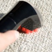 Cleaning Carpet