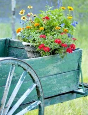 Wagon with potted Flowers