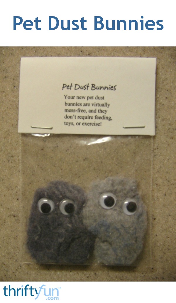 Pet Dust Bunnies ThriftyFun