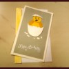 Hatching Chick Card