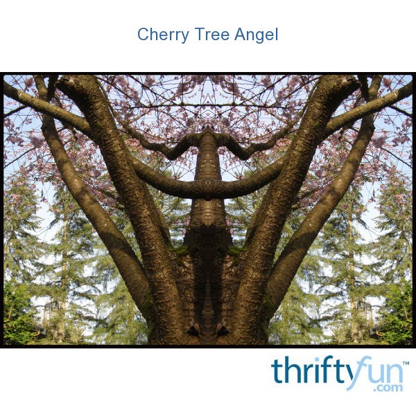 Cherry Tree Angel (Auburn, WA) | ThriftyFun