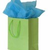 Blue Tissue Paper Sticking out of Green Gift Bag