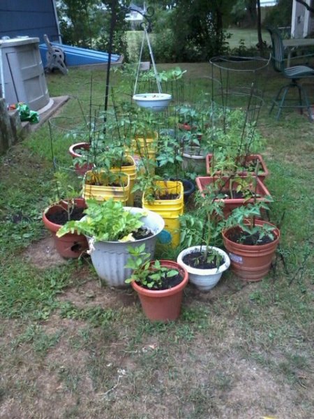 Container Gardening using recycled containers