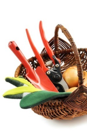 Garden Tools in Basket