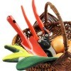 Garden Tools in Basket