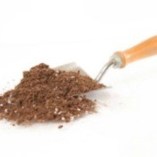 Hand Shovel with soil