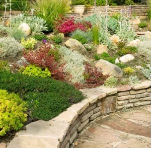 Garden with How to Alpine Plants