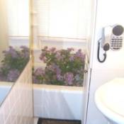 Lilacs in the Bathtub