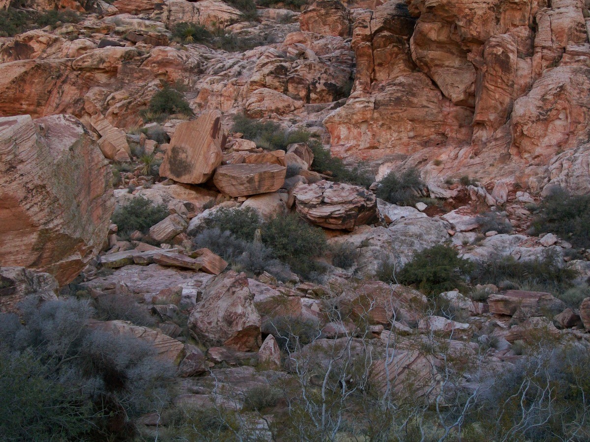 arizona red rock canyon