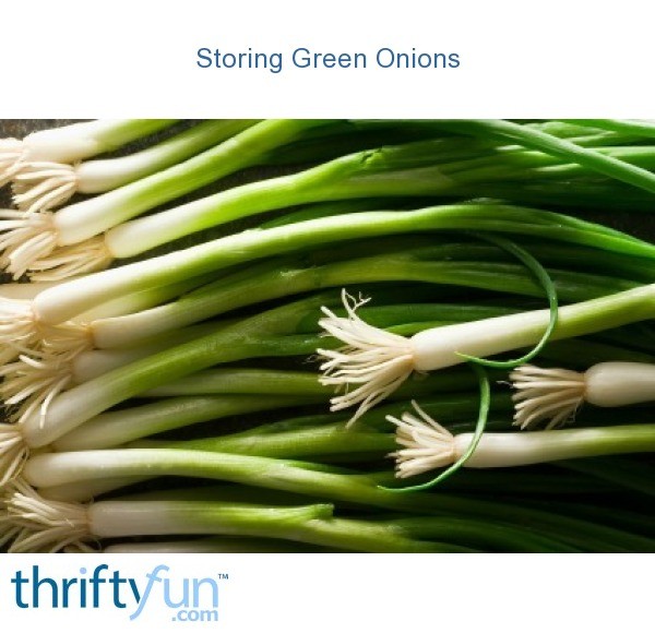 Storing Green Onions ThriftyFun